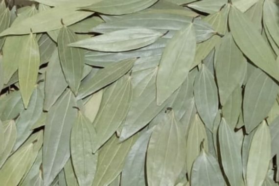 Organic Bay Leaf (Tej Patta)