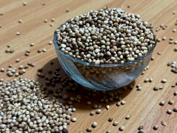 Organic Coriander Seeds (Dhania)