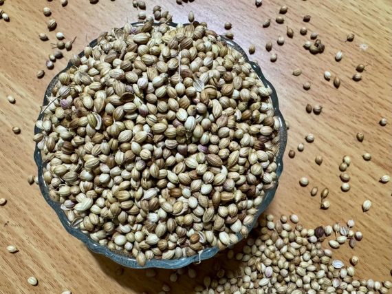 Organic Coriander Seeds (Dhania)