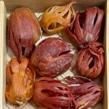 Organic Nutmeg Mace(Javitri)