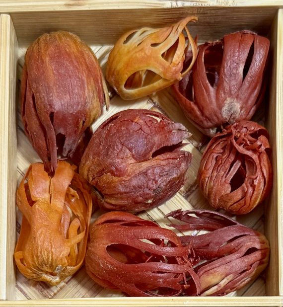 Organic Nutmeg Mace(Javitri)