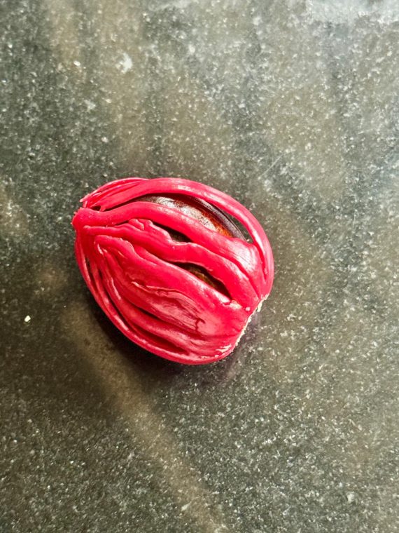 Organic Nutmeg Mace(Javitri)