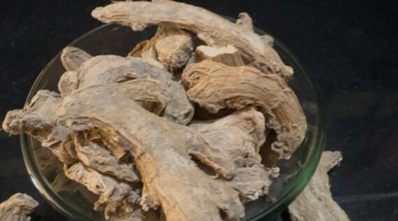 Organic Dry Ginger Whole (Sonth/Chukku)